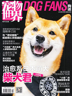 USC U.S.-China Institute Talking PointsHappy Year of the Dog!